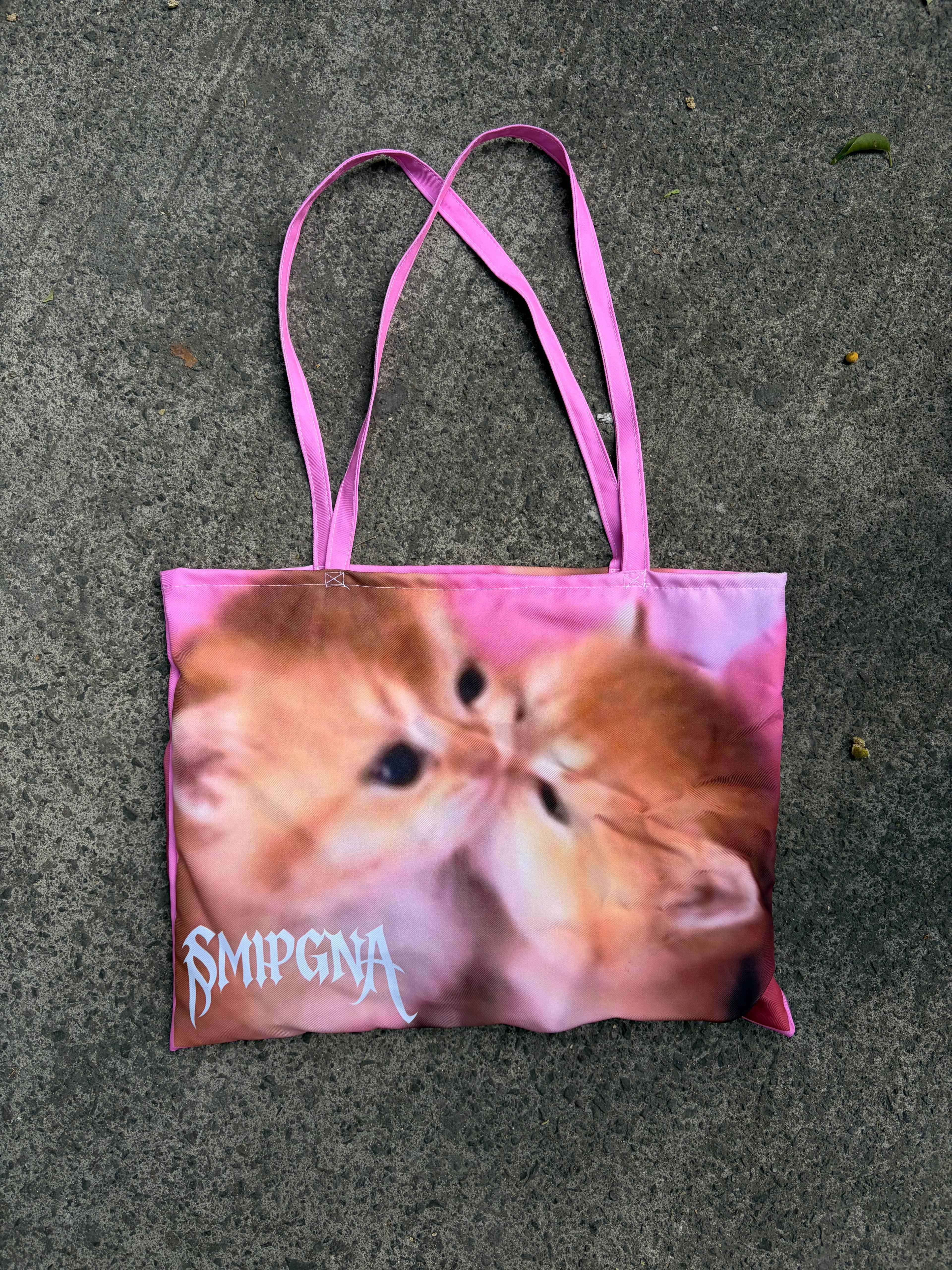 GATITO CACHETÓN